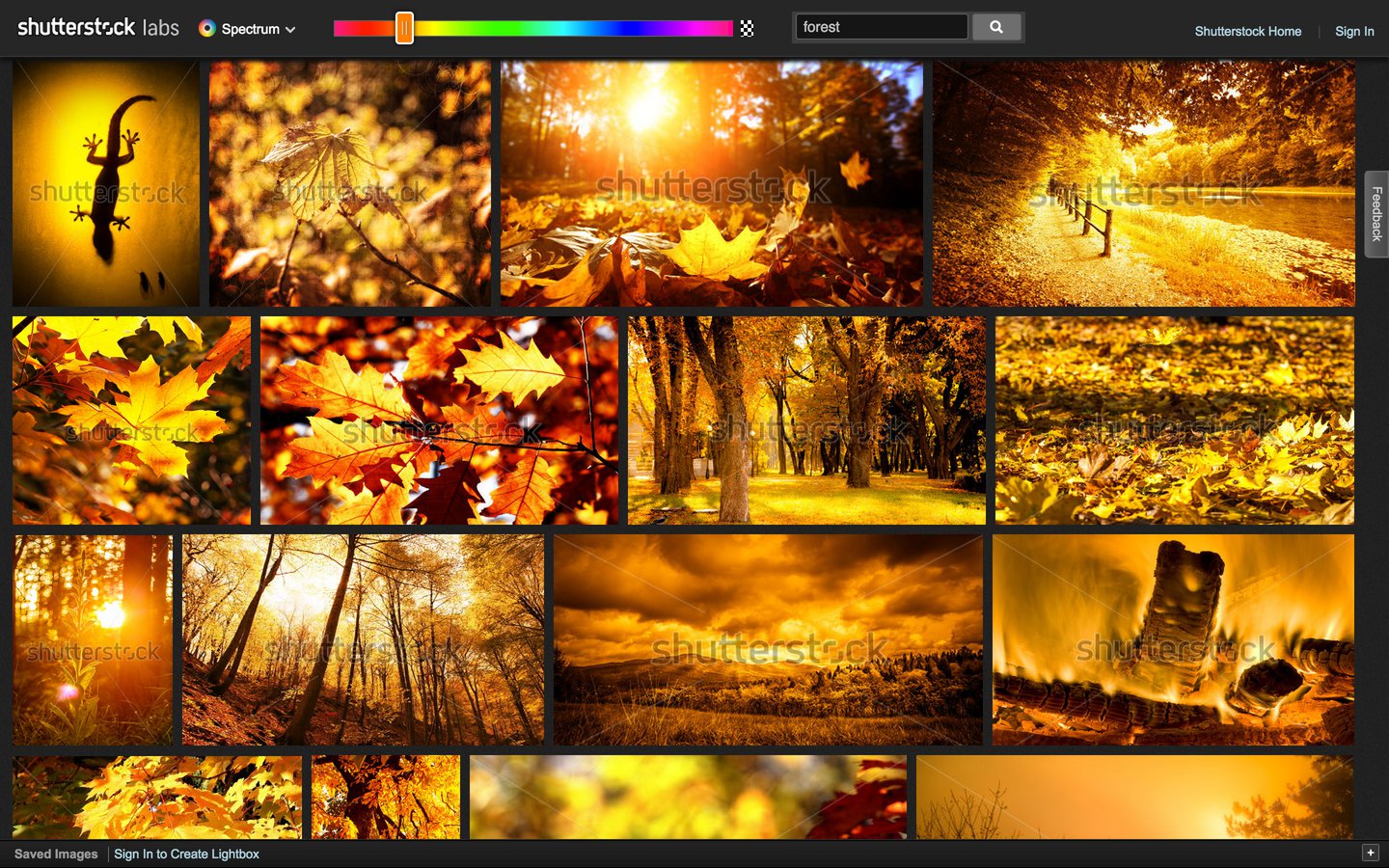 Shutterstock Spectrum | How to Search for Images by Color